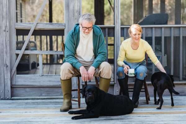 elderly couple looking at their dogs