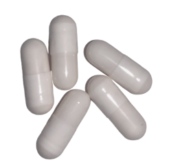 25 Large Flea Pills Bulk Pack