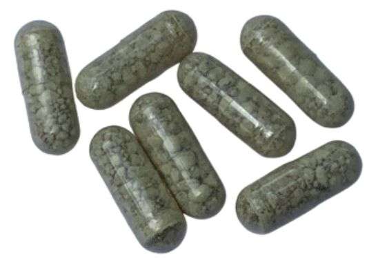The Complete Guide to Deworming Your Dog
